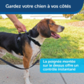 HARNAIS EASYWALK CHIEN 3 EN 1 NOIR - CY1225