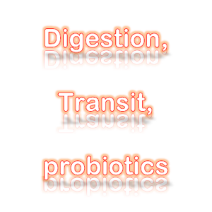 Digestion, transit, probiotics