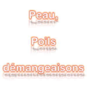 Peau, poils, démangeaisons